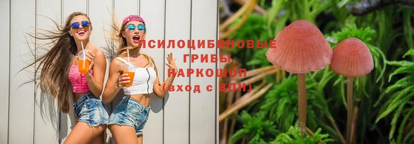 герыч Алексин