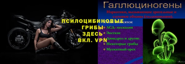 герыч Алексин
