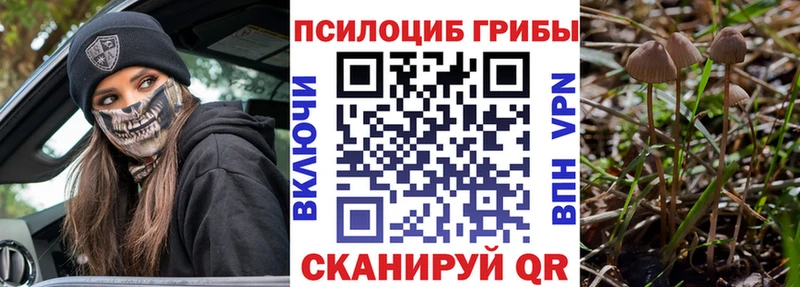 Псилоцибиновые грибы MAGIC MUSHROOMS  купить наркотики цена  Железноводск 