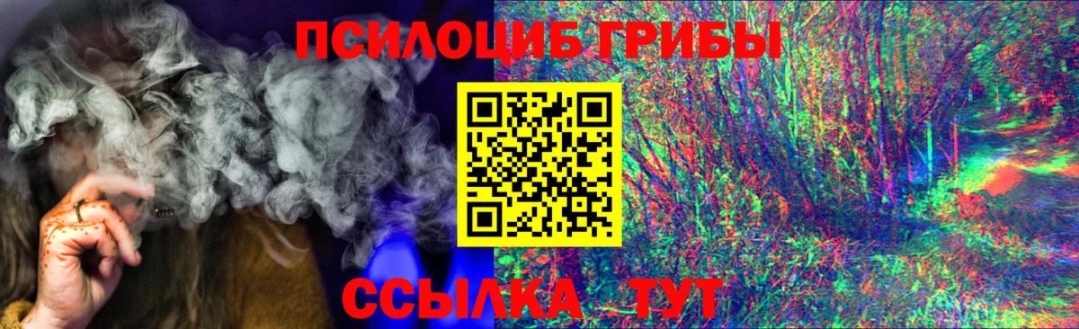 Галлюциногенные грибы Psilocybine cubensis  Вход с VPN  купить закладку  Галлюциногенные грибы Psilocybe  Железноводск 